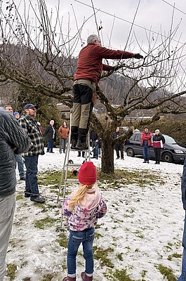 Banner Praxisseminar „Winterschnitt an Obstgehölzen“ mit Michael Gigler