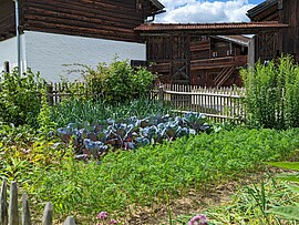 Banner Führung: Kräuterwissen auf dem Bauernhof 